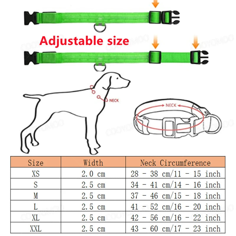 Led Luminous Dog Collar