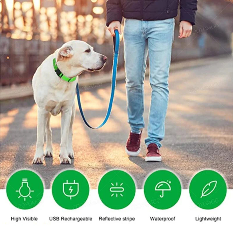 Led Luminous Dog Collar
