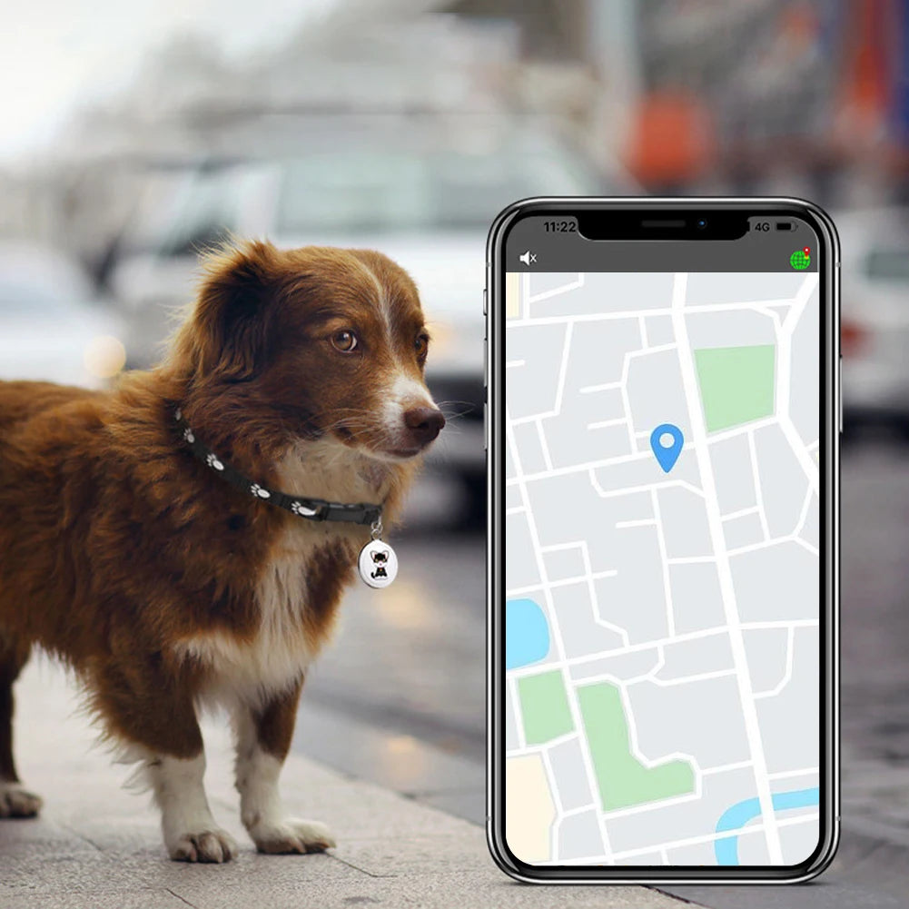 Pet Tracker Collar GPS - Cat & Dog