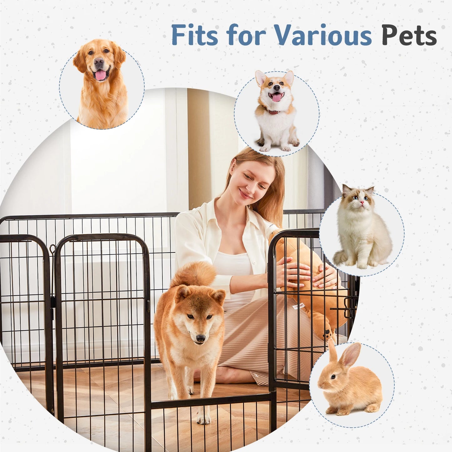 Pet Fence Exercise