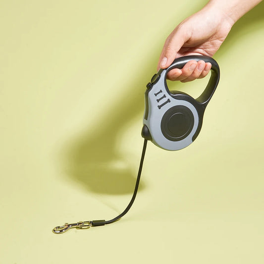 Retractable Dog Leash For Small Dog