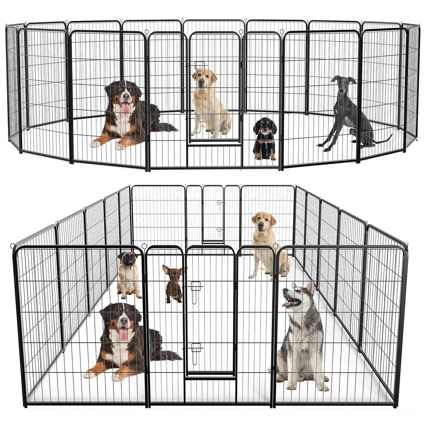 Pet Fence Exercise