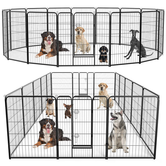 Pet Fence Exercise