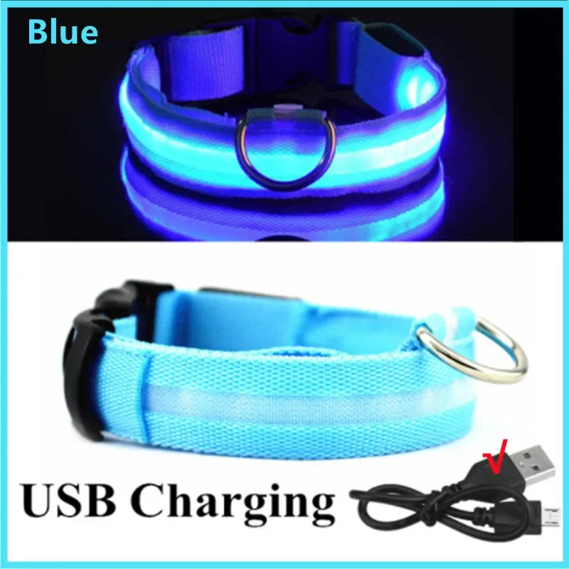 Led Luminous Dog Collar
