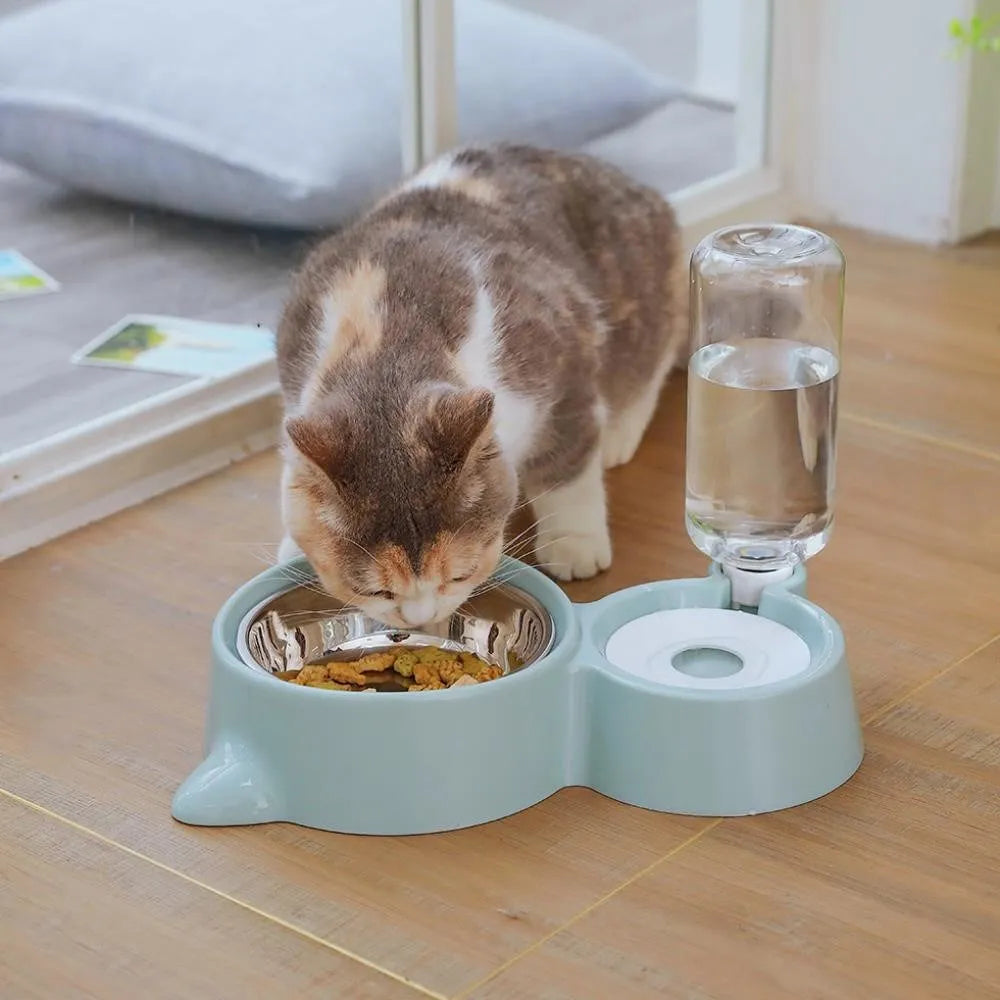 Dog Bowls, Cat Food and Water Dispenser