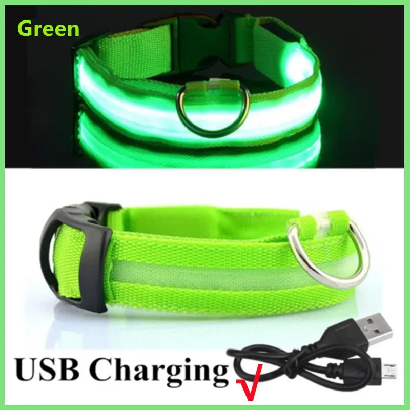 Led Luminous Dog Collar