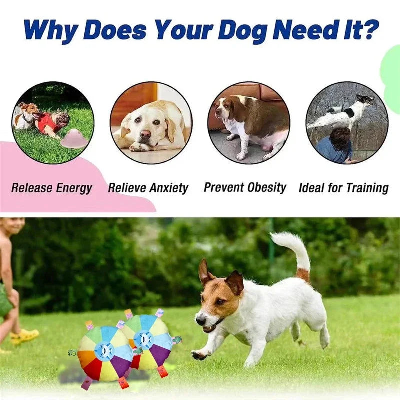 Dog Toys