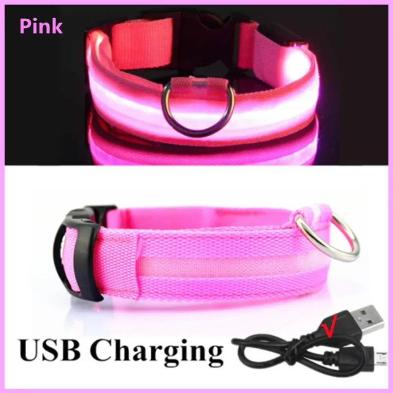 Led Luminous Dog Collar