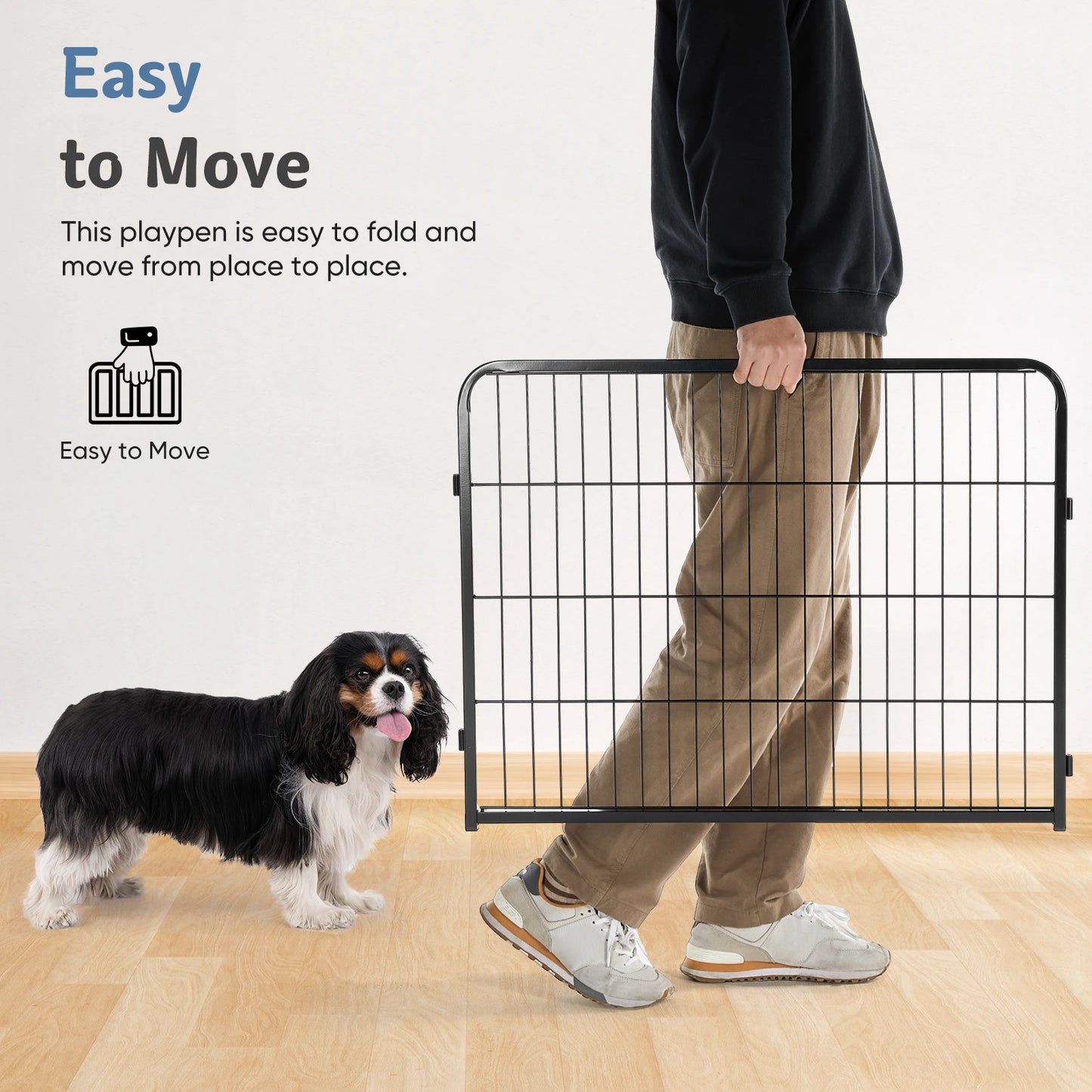 Pet Fence Exercise