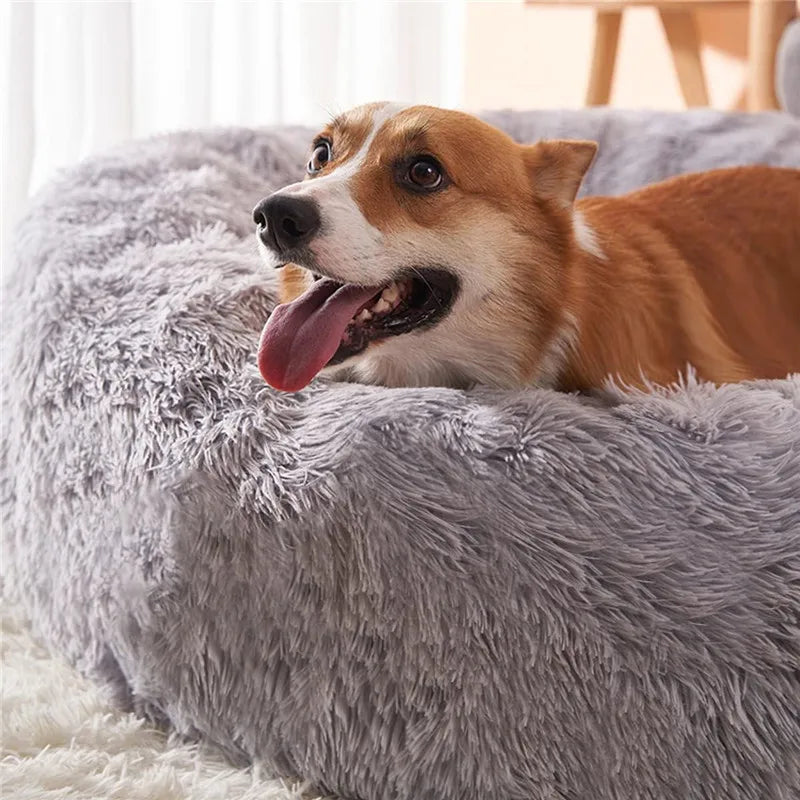 Round Pet Bed for Large Dog Bed Super Soft