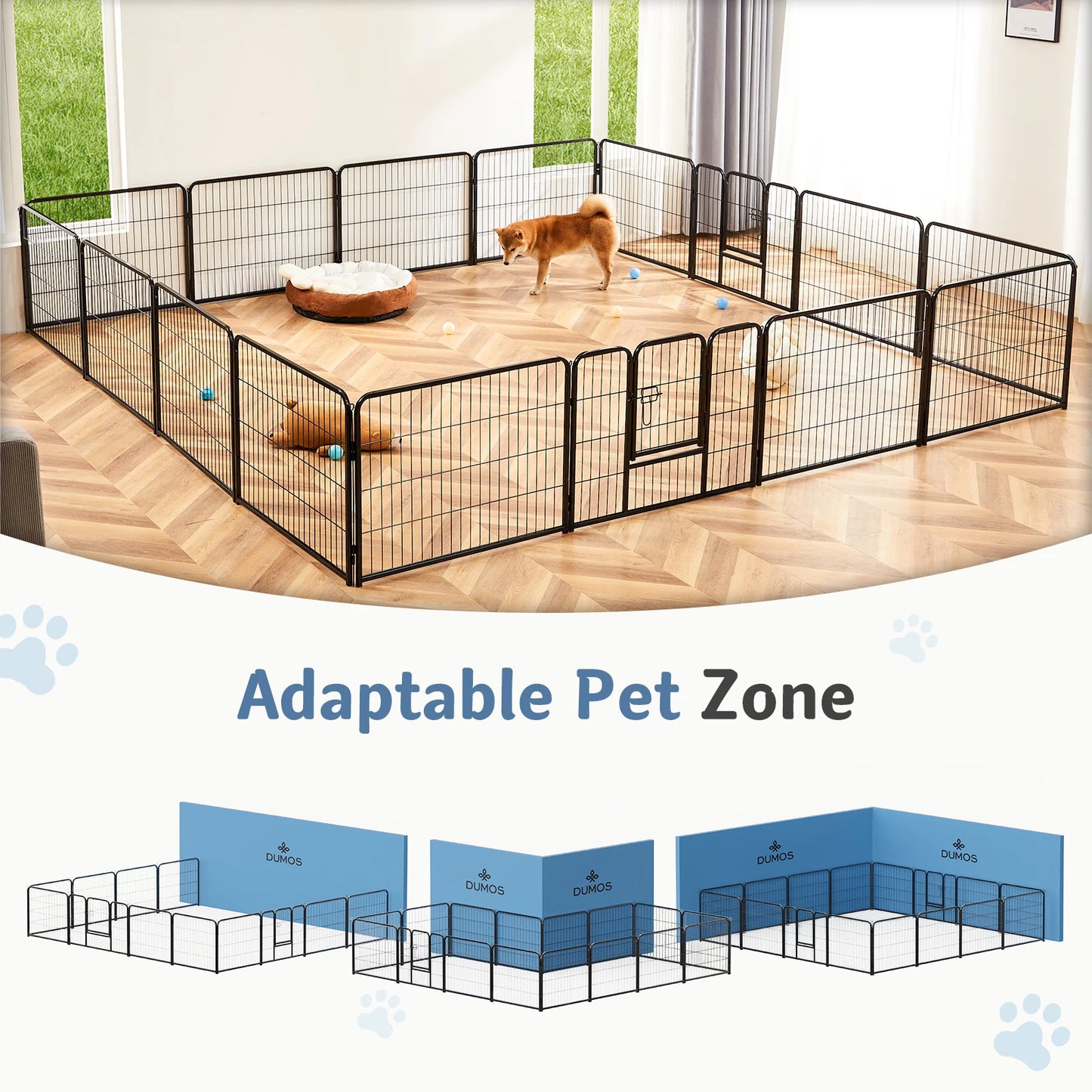 Pet Fence Exercise