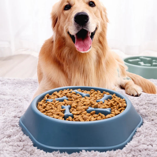 Slow Feeder Dog Food Bowl - Anti-choking