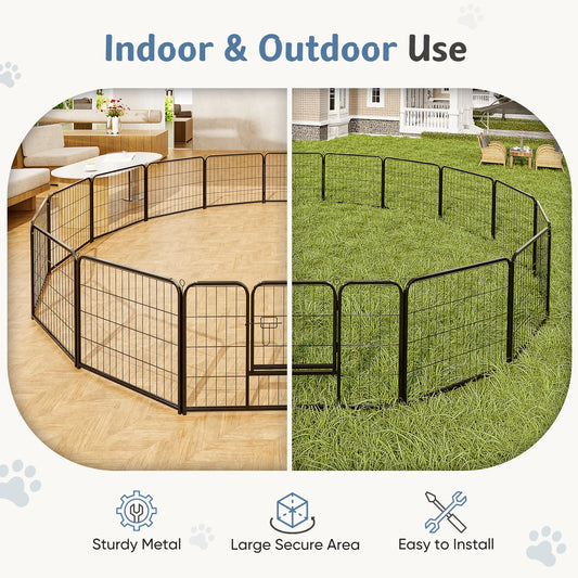 Pet Fence Exercise