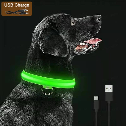 Led Luminous Dog Collar